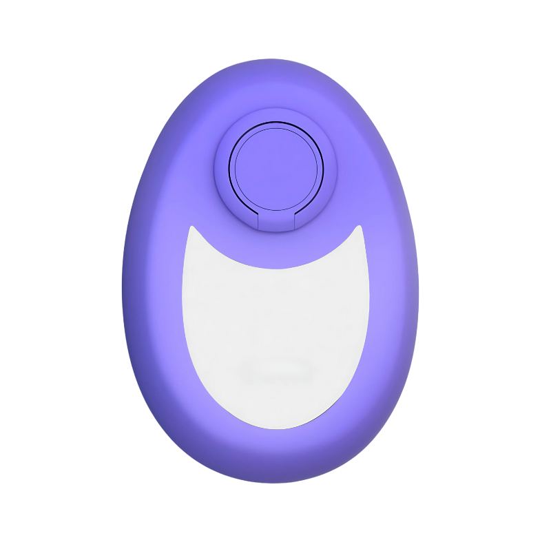 Gomme à Cheveux en Cristal